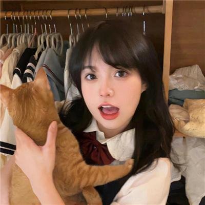 谎言之谷国语